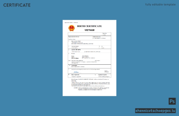 Vietnamesische Geburtsurkunde – Beispielvorschau (Word und PDF)